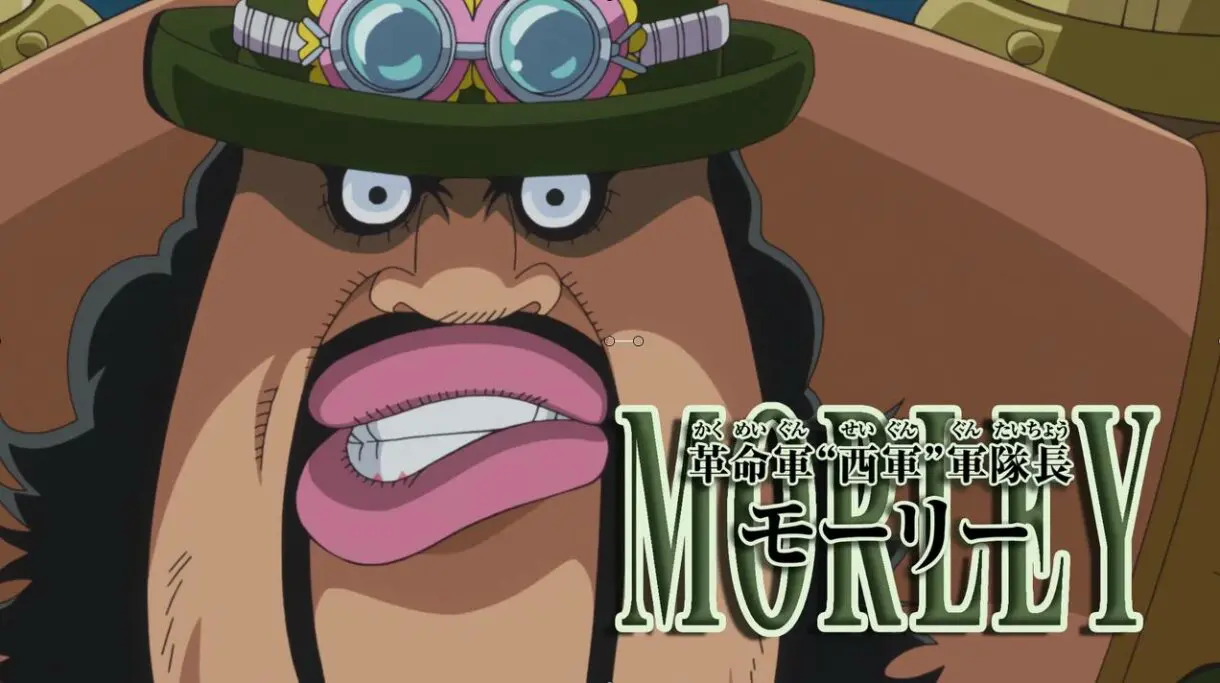 one piece