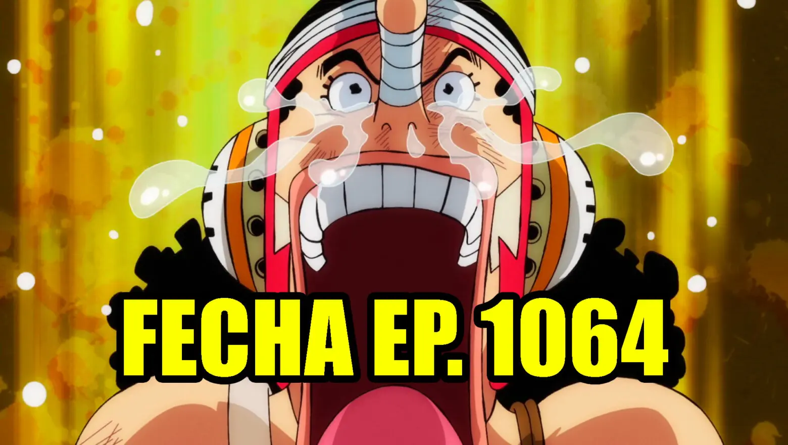 One Piece horario