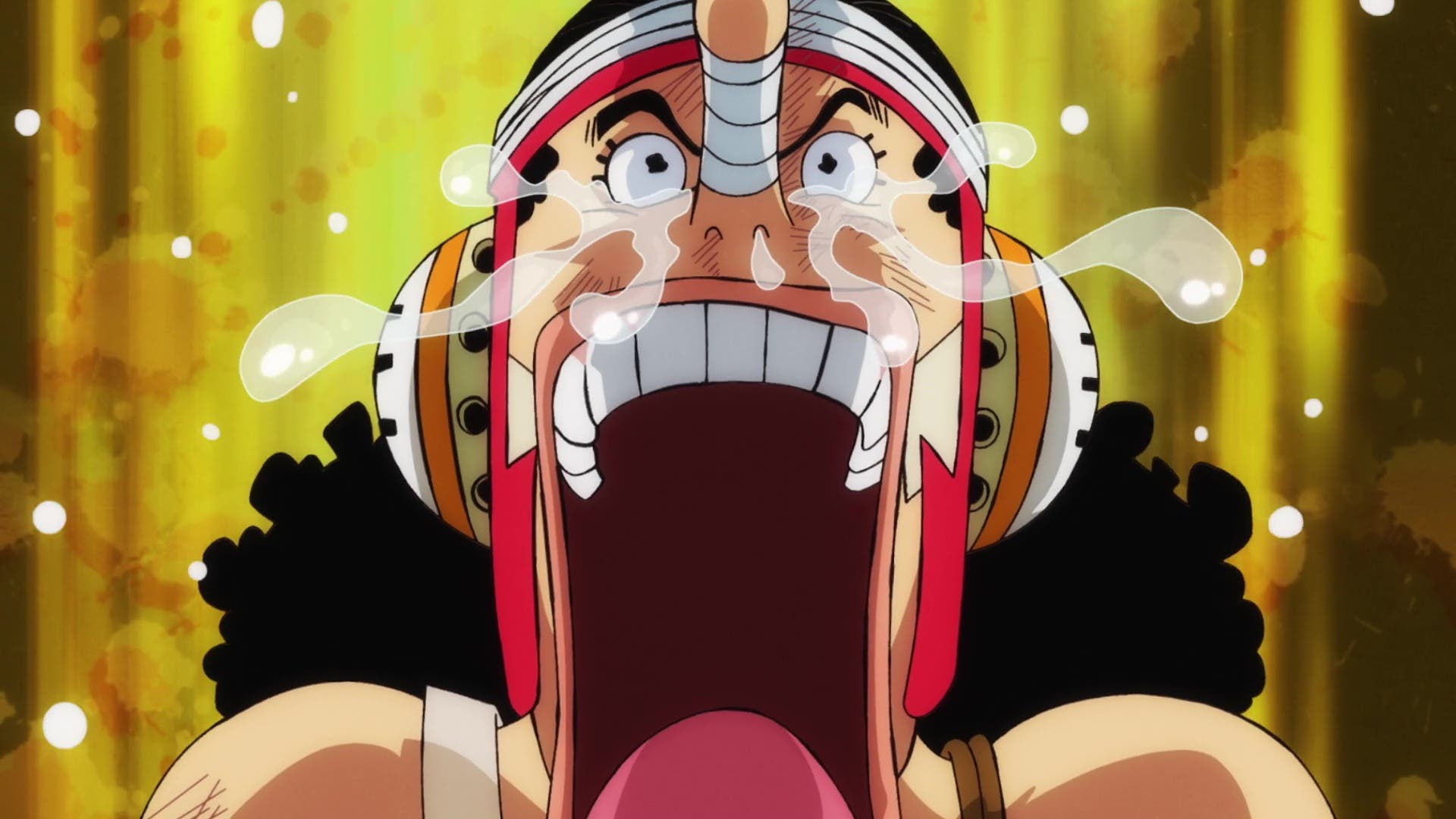 One Piece Latinoamérica - Próximos episodios del anime 1065: ¡La Alianza es  aniquilada! 1066: ¡La Alianza contraataca! 1067: El Intérprete Clave  Créditos a Morgans