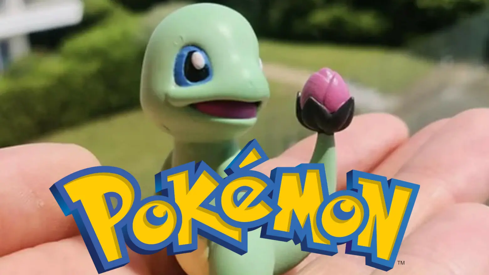 Pokémon