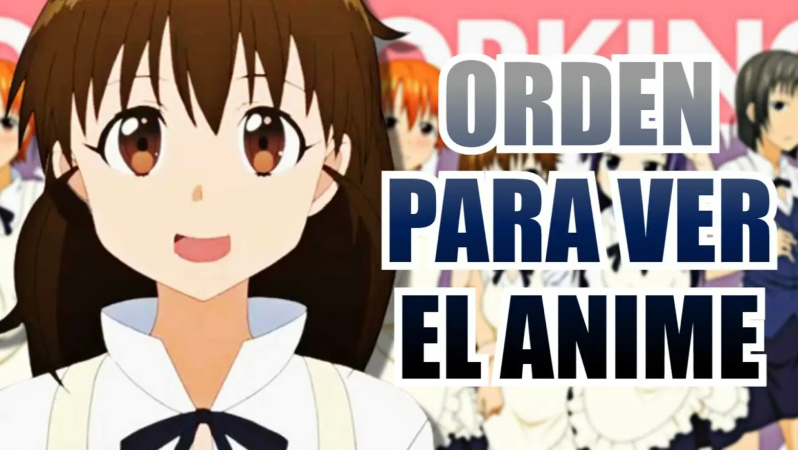 working orden del anime (1)