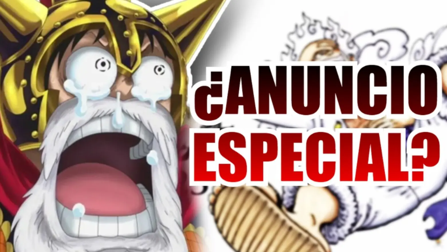 one piece day anuncio especial (1)
