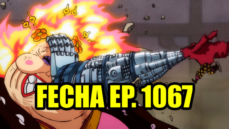 One Piece horario