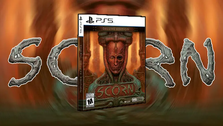 scorn
