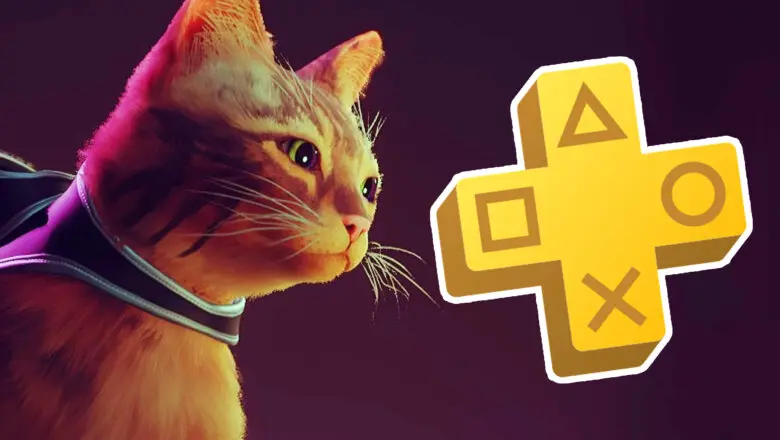 stray ps plus