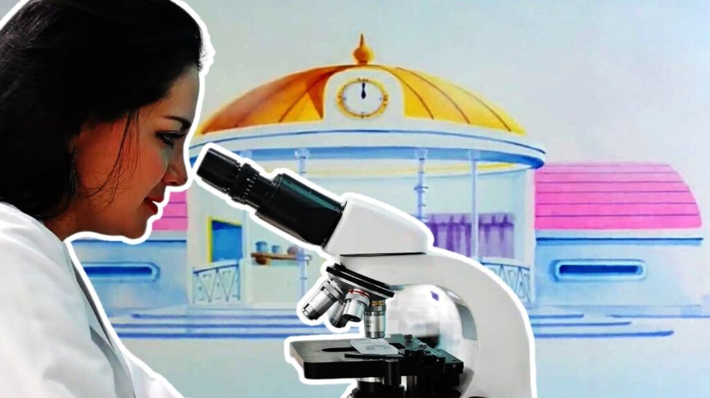 camara del tiempo dragon ball cientifico (1)