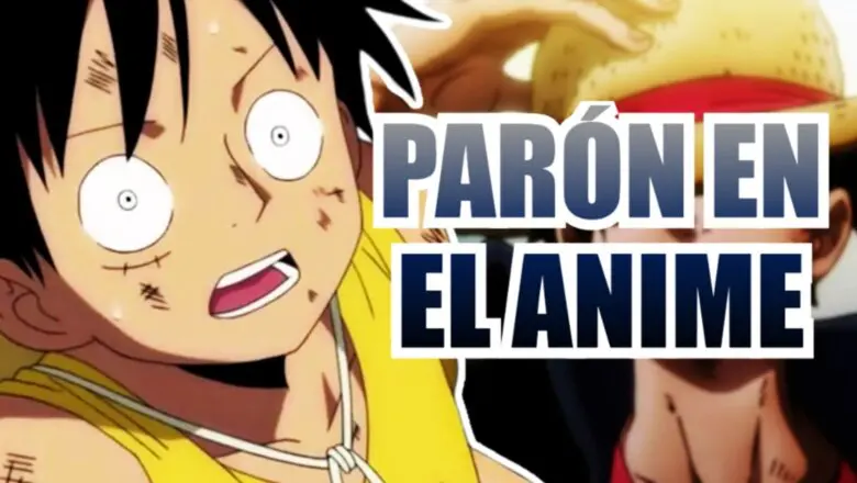 one piece anime paron (1)