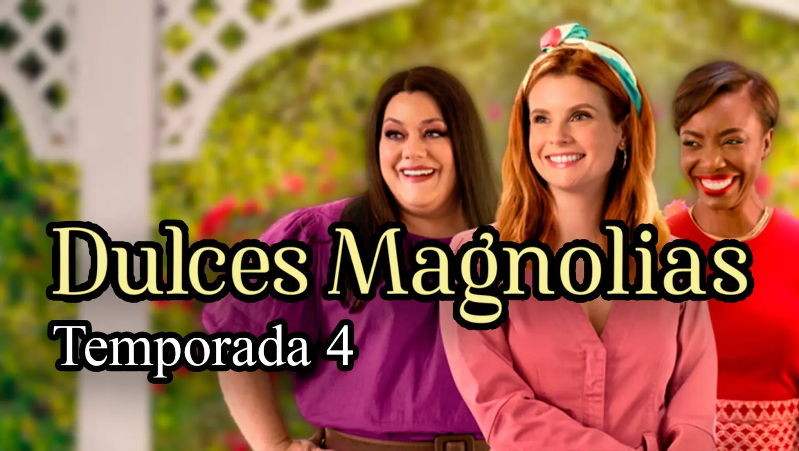 temporada 4 de dulces magnolias netflix