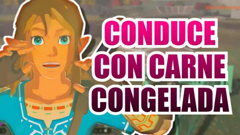 zelda carne vehiculo (1)