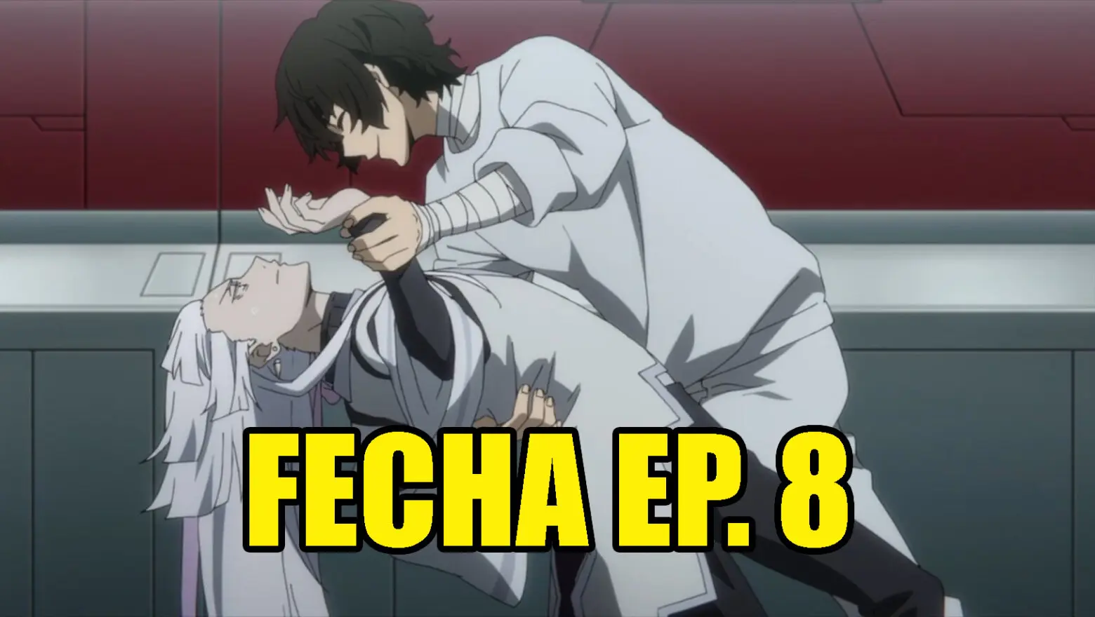 Bungou Stray Dogs horario