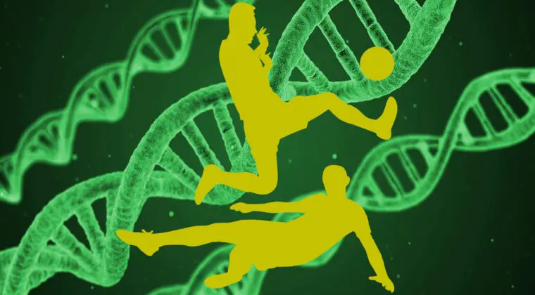 Imagen de EA Sports FC 24: filtrados varios Evolutions (uno gratuito y otro que costaría monedas)