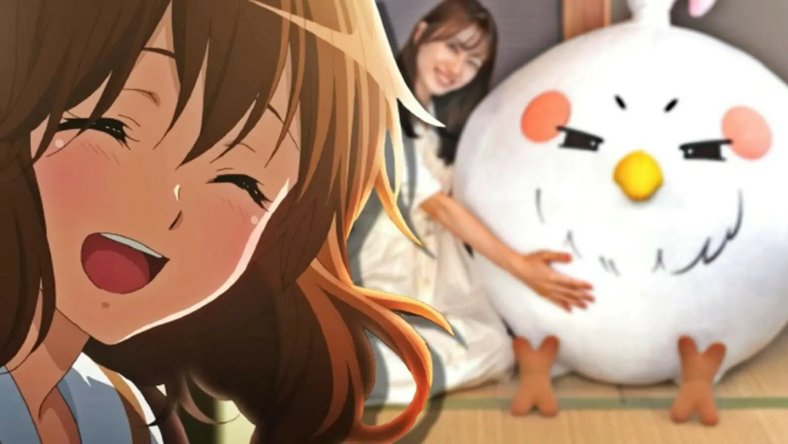 kyoani peluches gigantes (1)