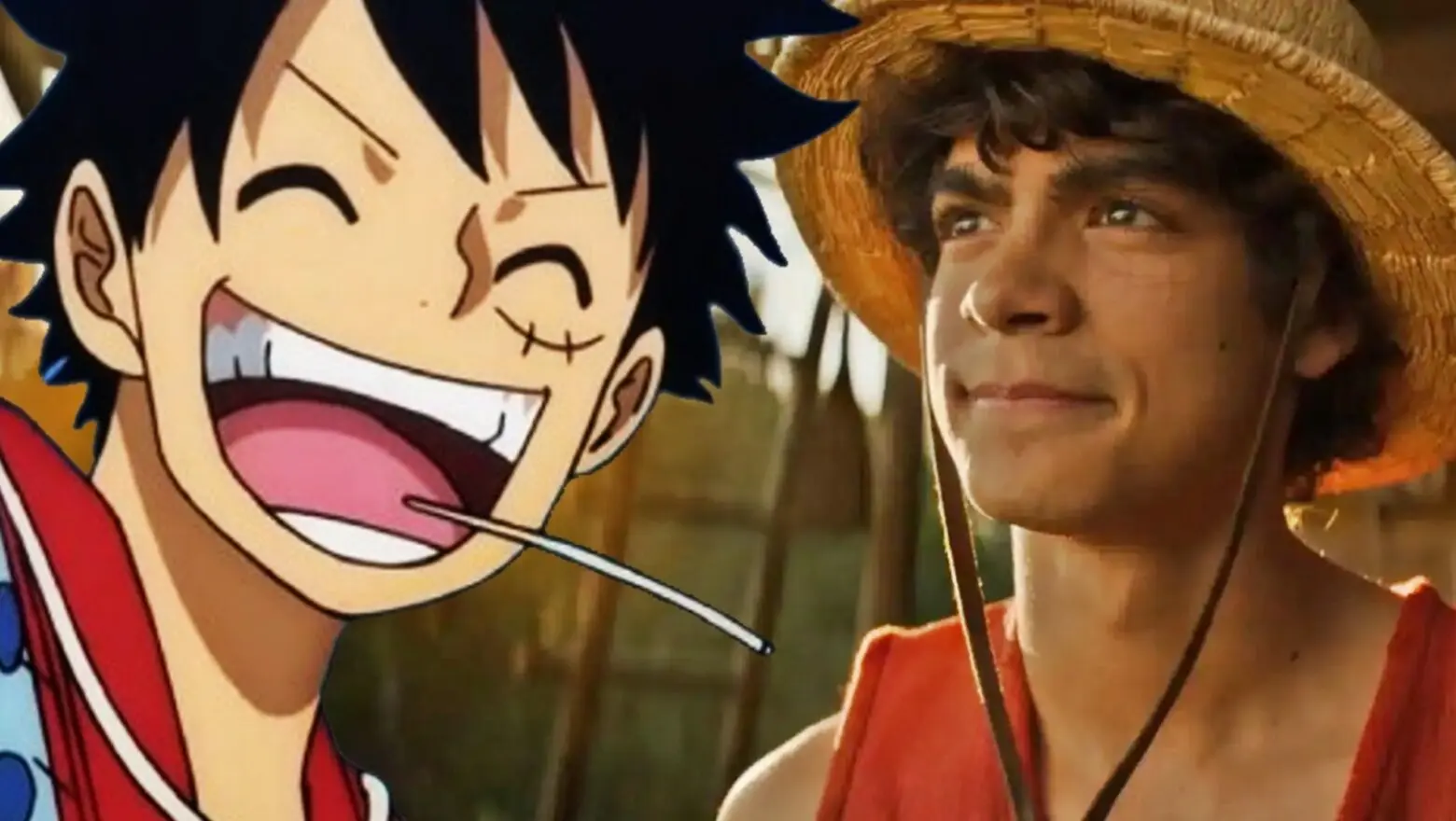 luffy one piece (1)