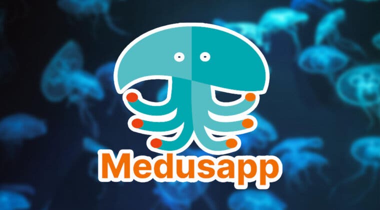 Imagen de La aplicación que te advierte de las medusas que hay en la playa