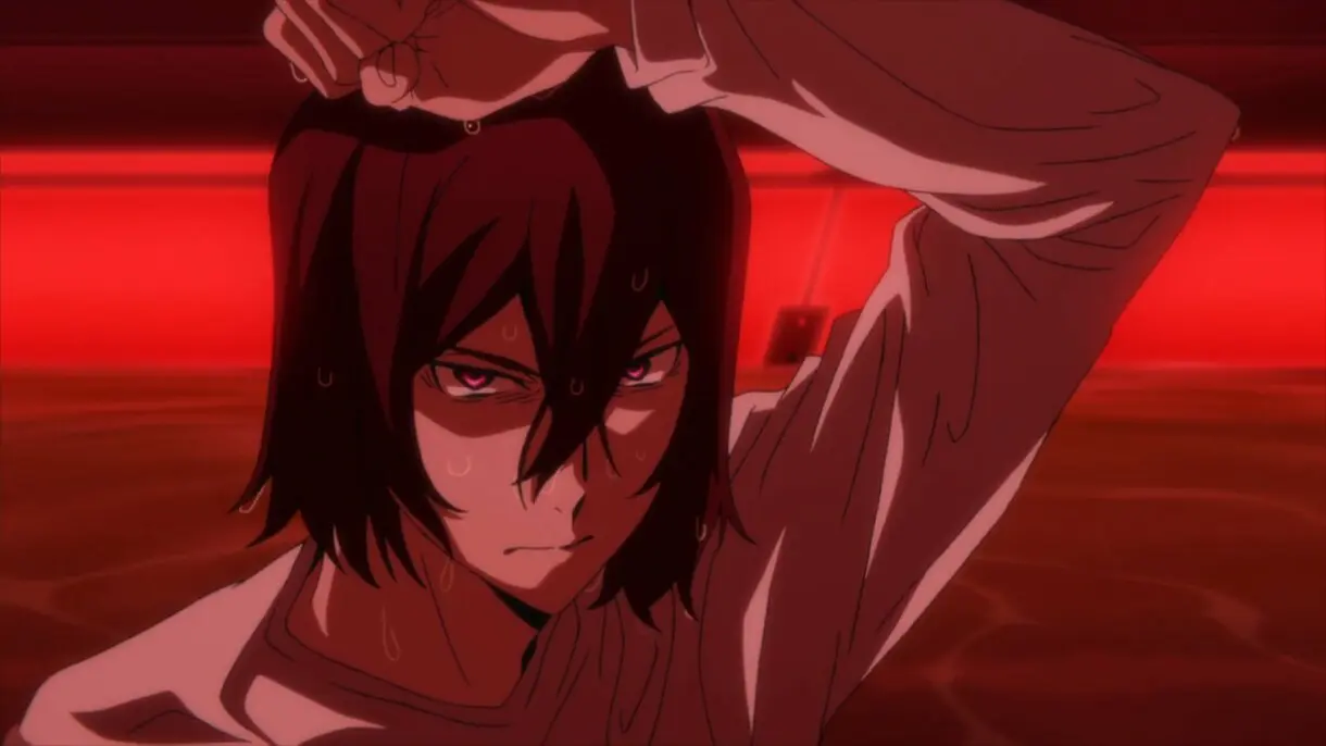 Bungou Stray Dogs