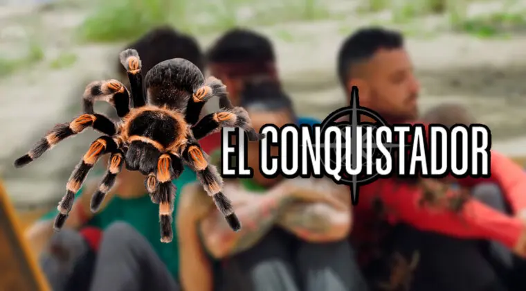 Imagen de Qué son las cacatas, las arañas que protagonizaron El Conquistador y tus mayores temores