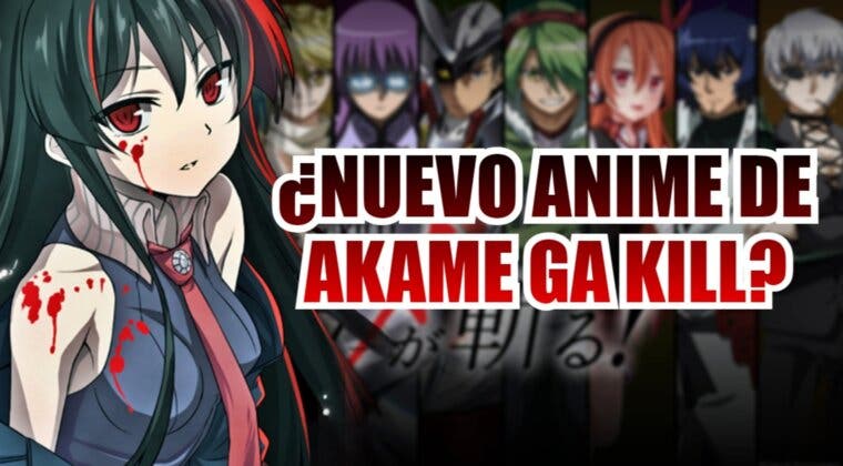 Imagen de Akame Ga Kill!: ¿Habrá nuevo anime o remake para completar la historia?