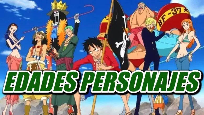 ONE PIECE