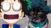 Imagen de My Hero Academia: Un gato se convierte en Deku en este cosplay sin igual