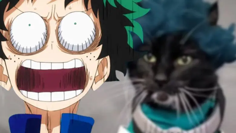 my hero academia cosplay gato (1)