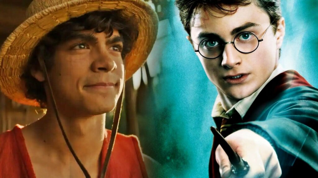 one piece harry potter (1)