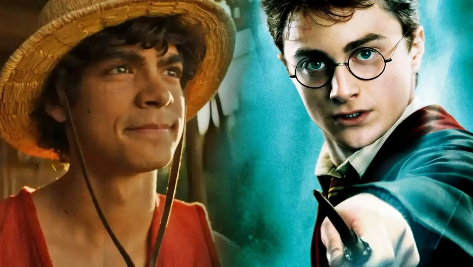 one piece harry potter (1)