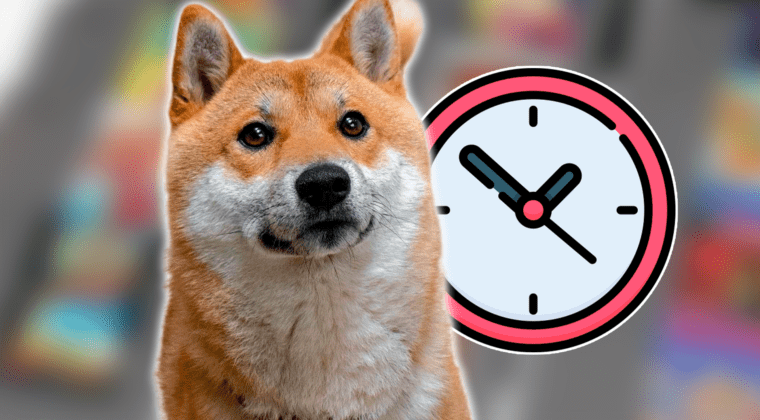 Imagen de Lo nunca visto, un perro se hace un speedrun de un juego de NES en la Games Done Quick