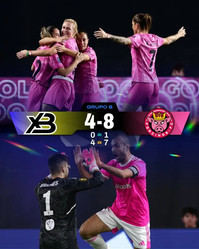 xbuyer porcinos kingdom cup
