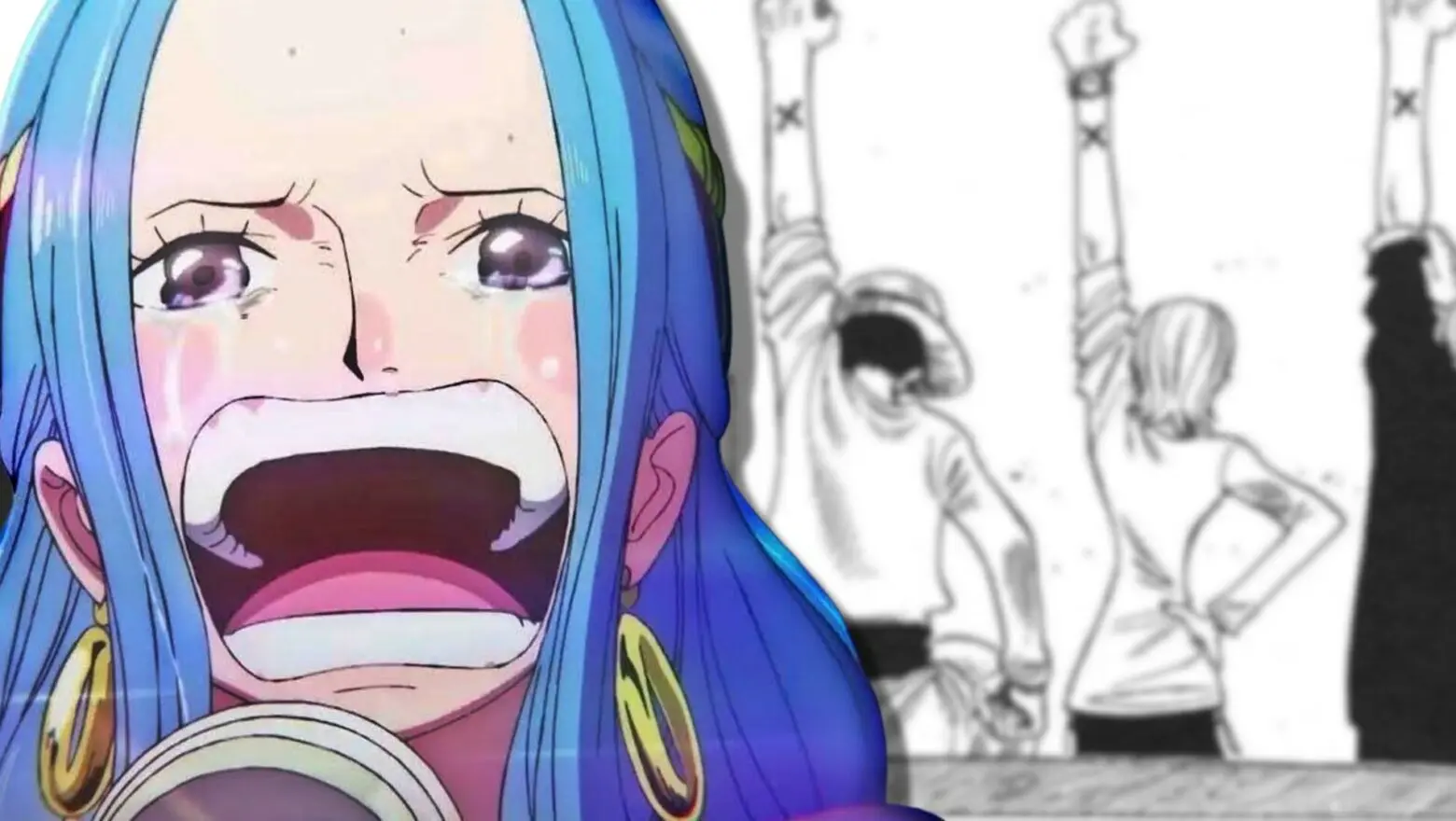 one piece vivi (1)