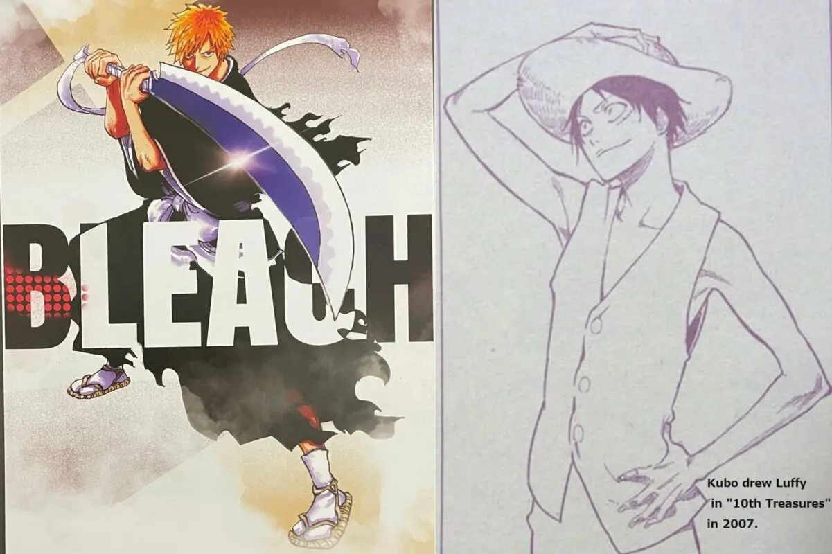 one piece bleach