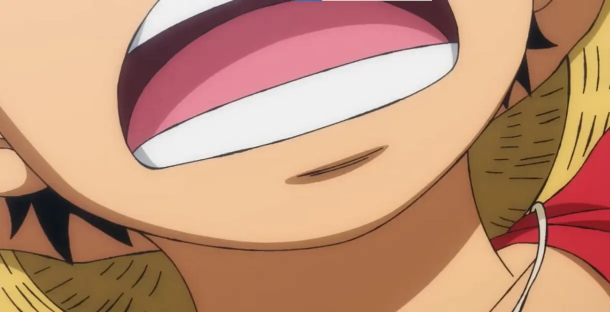 one piece