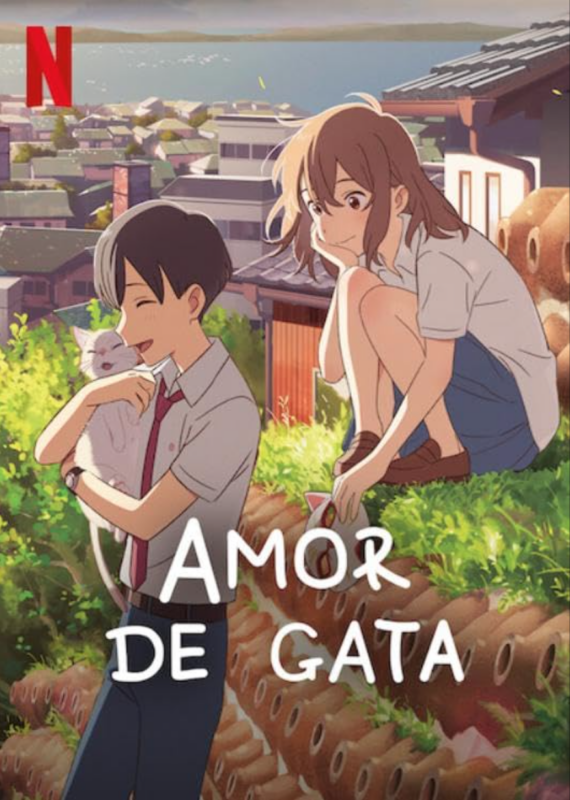 Amor de Gata poster