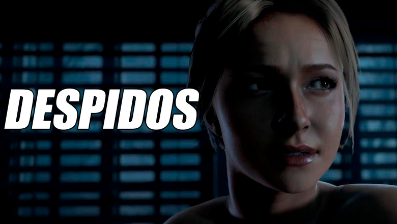 DESPIDOS