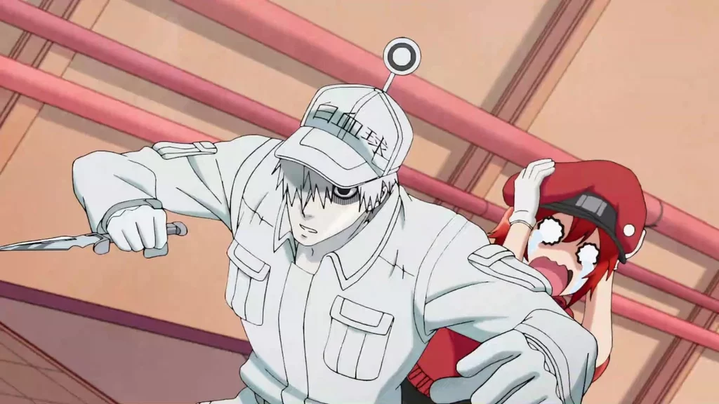 Cells at work