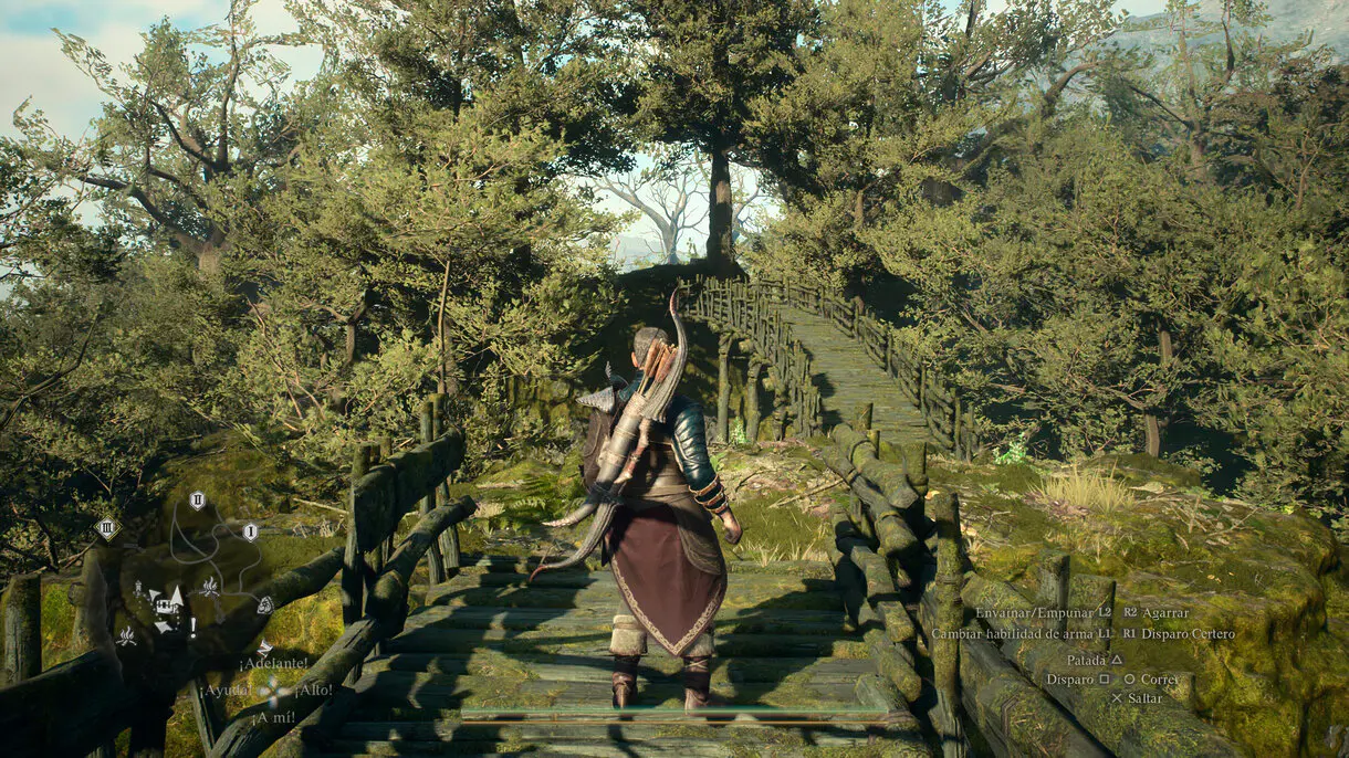 dragons dogma 2 bosqueelfo
