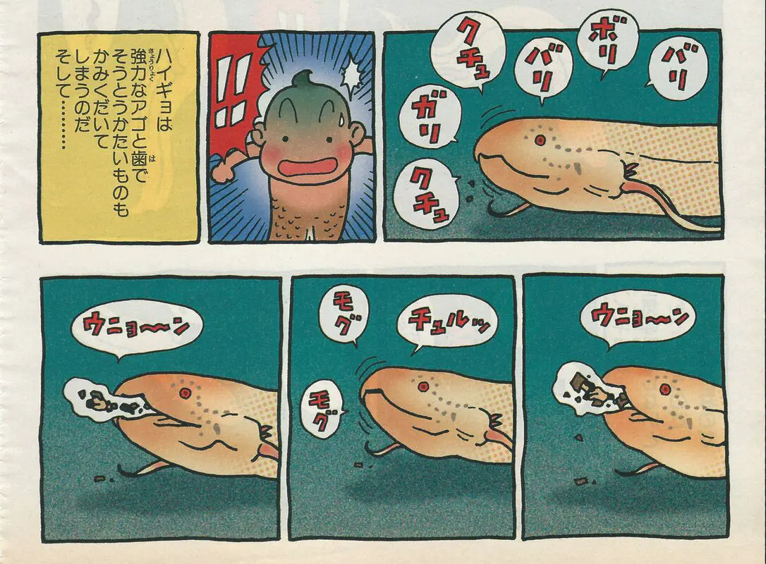 Haigyo no Mahimahi