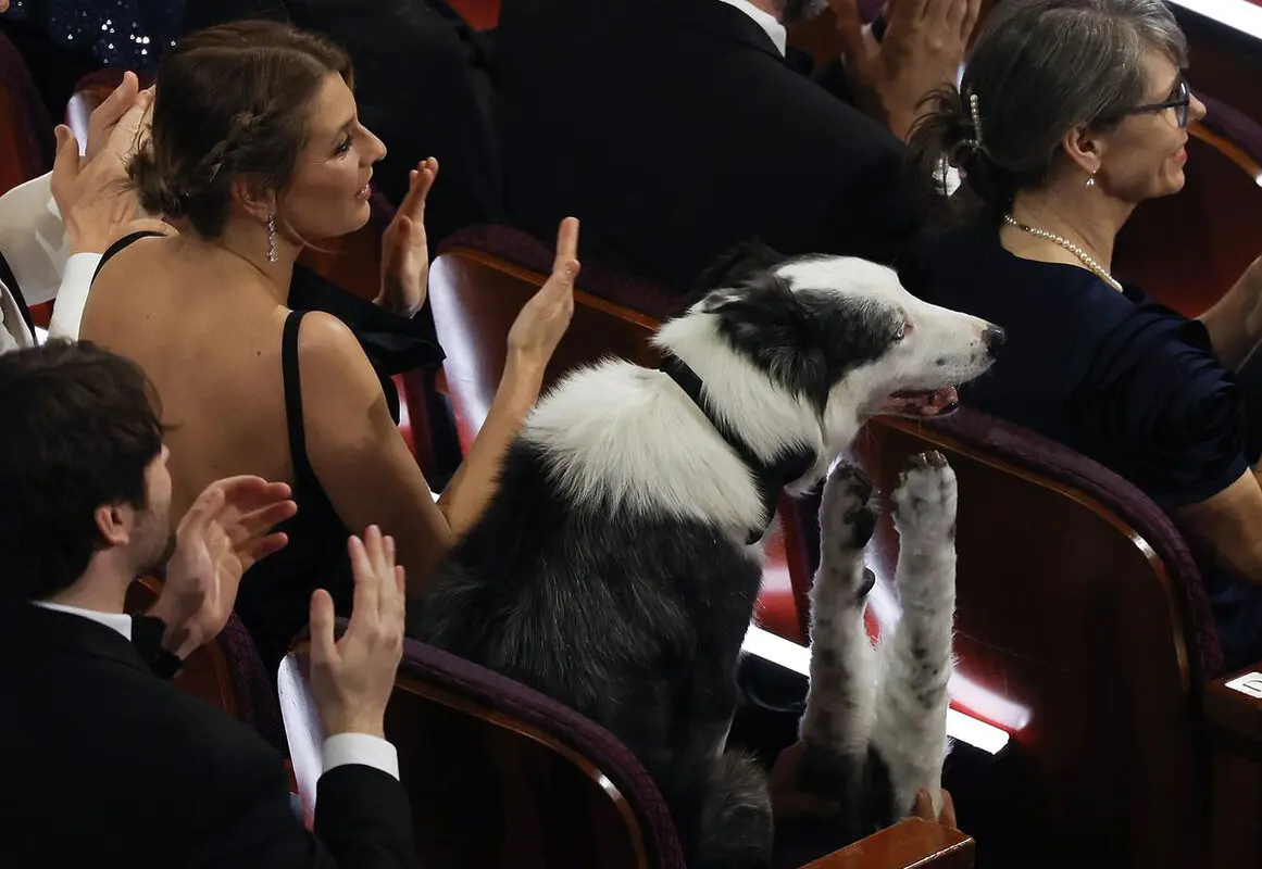 Oscar 2024 messi perro