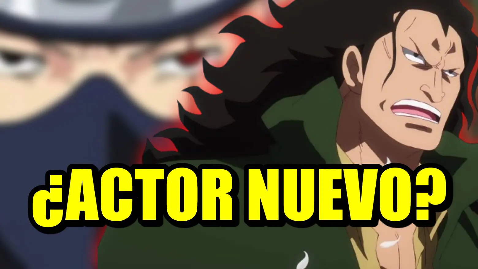 Cambio de actor en el anime de OP