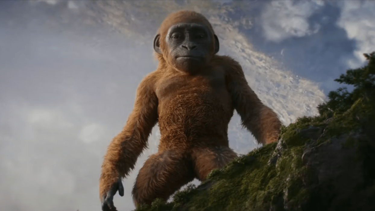 Baby Kong
