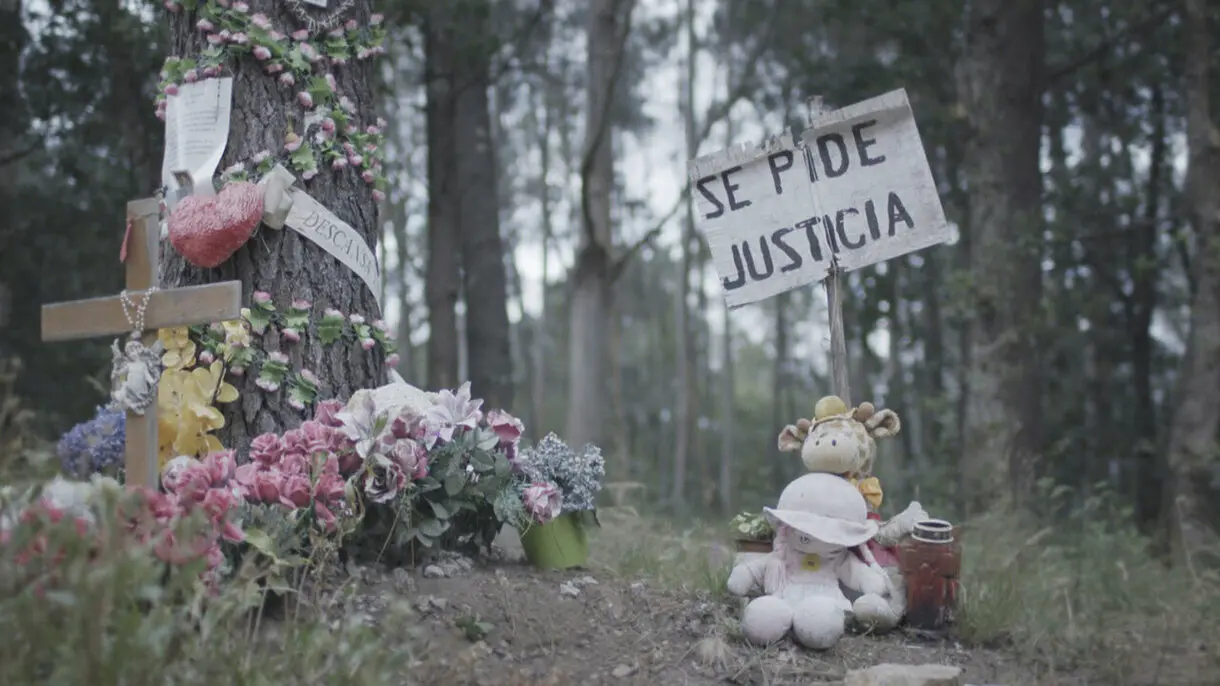 El caso Asunta: Operación Nenúfar