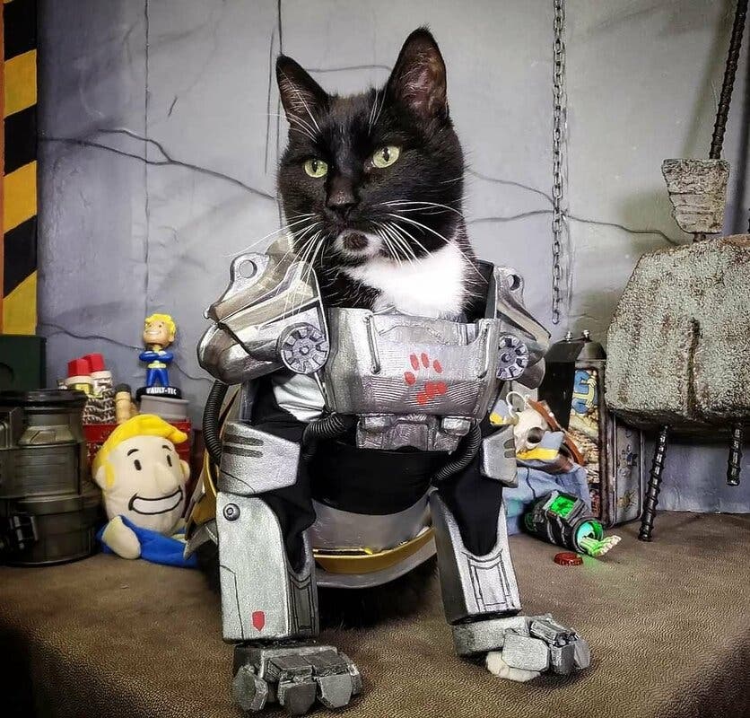 El gato con una servoarmadura de Fallout