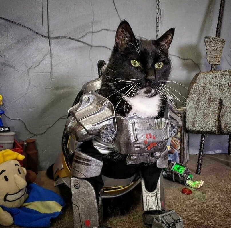El gato con una servoarmadura de Fallout