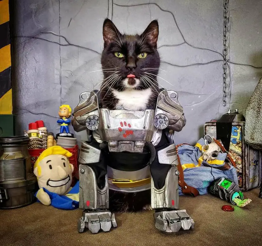 El gato con una servoarmadura de Fallout