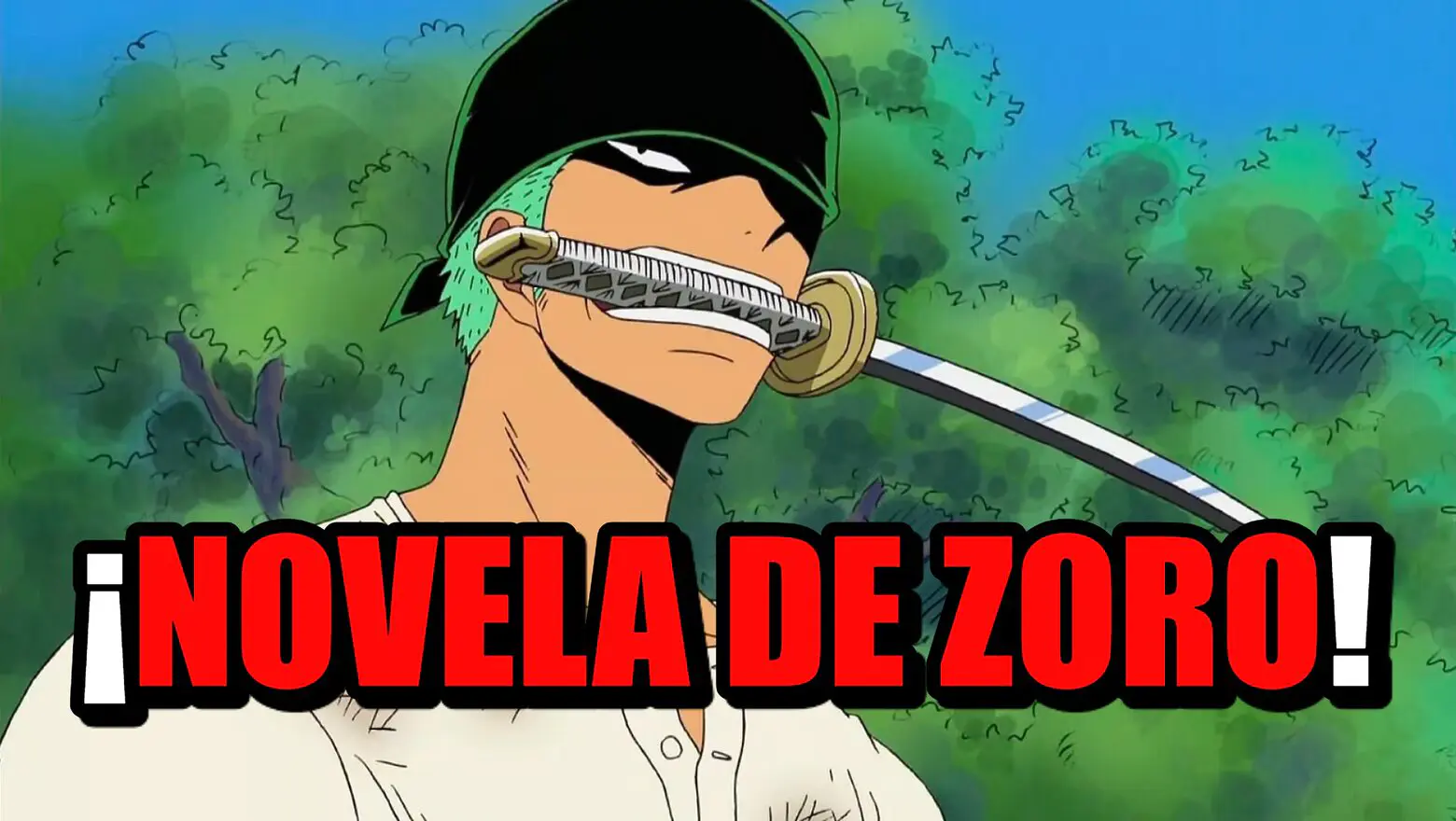 Nueva novela centrada en Zoro