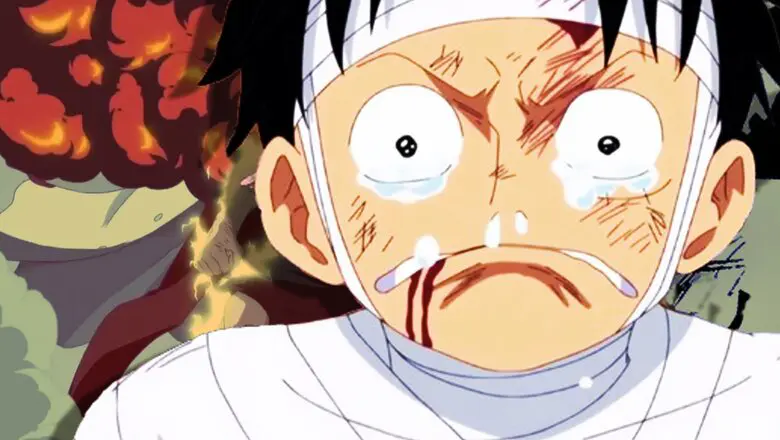 one piece anime manga (1)