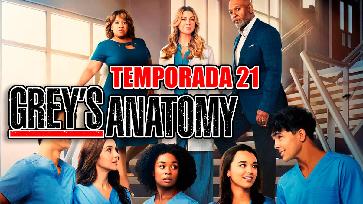 temporada 21 de anatomia de grey