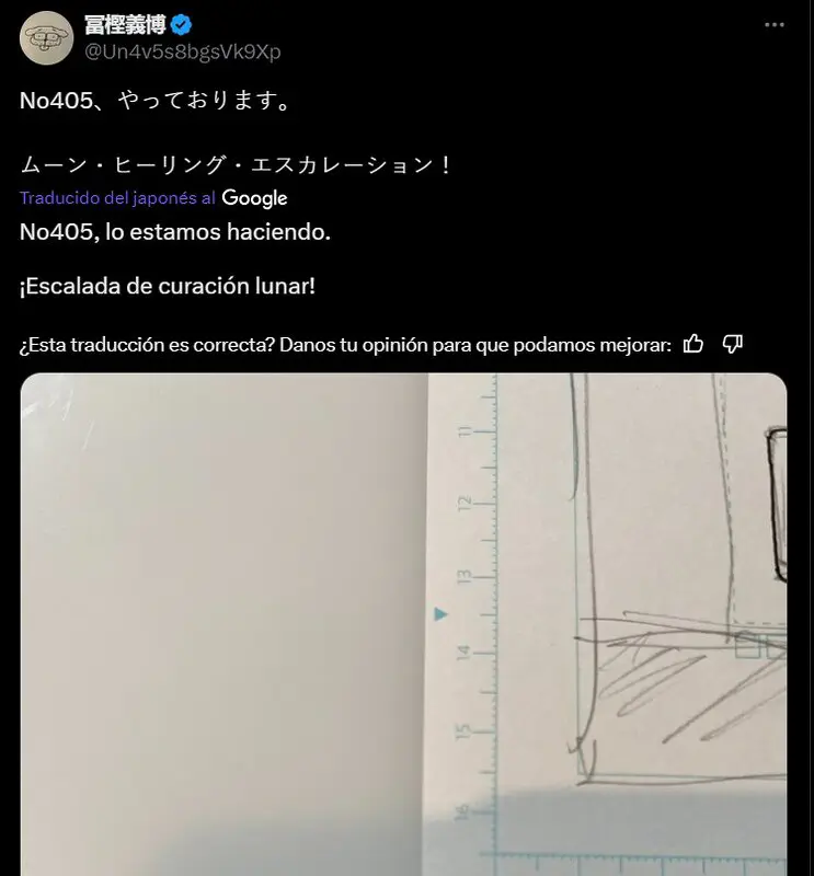 tuit togashi hunter x hunter
