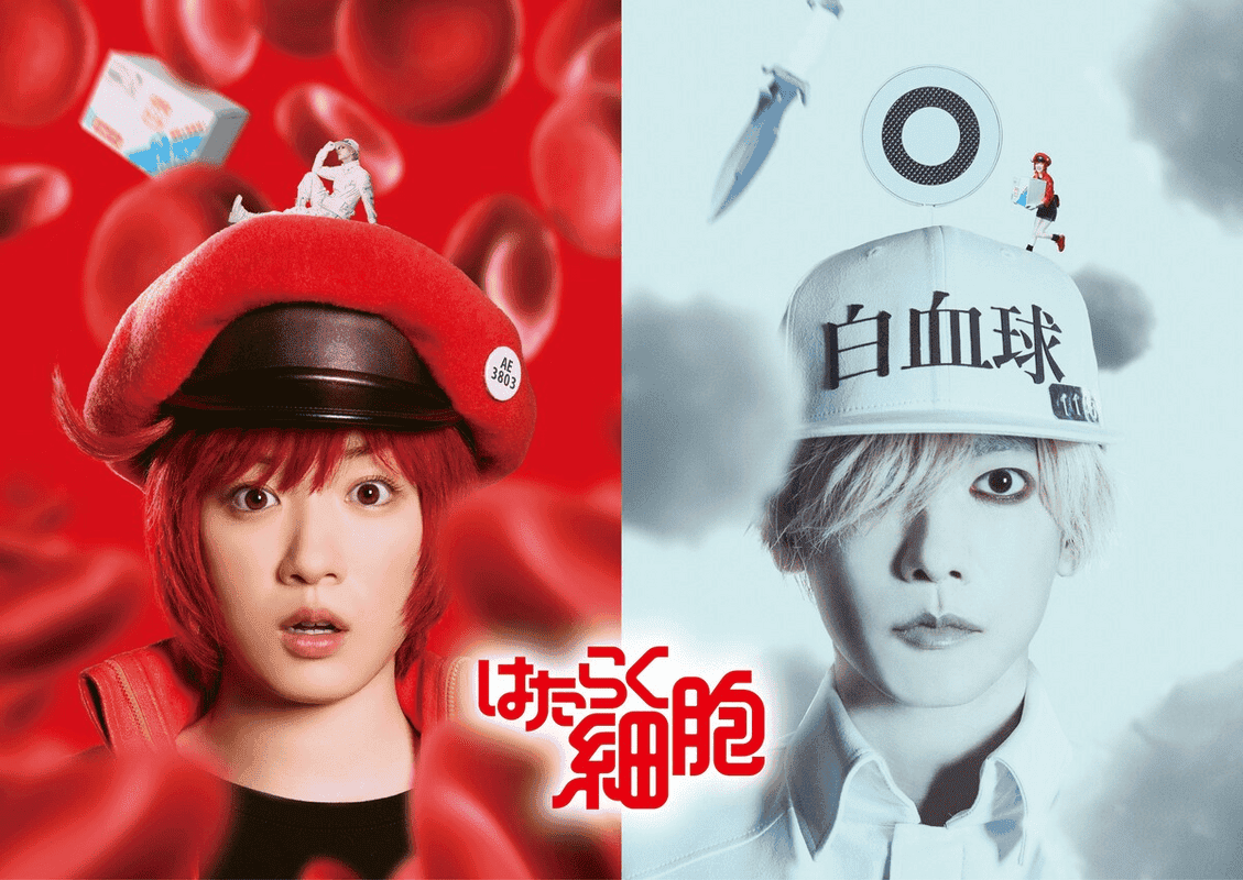 Cells at Work! live-action