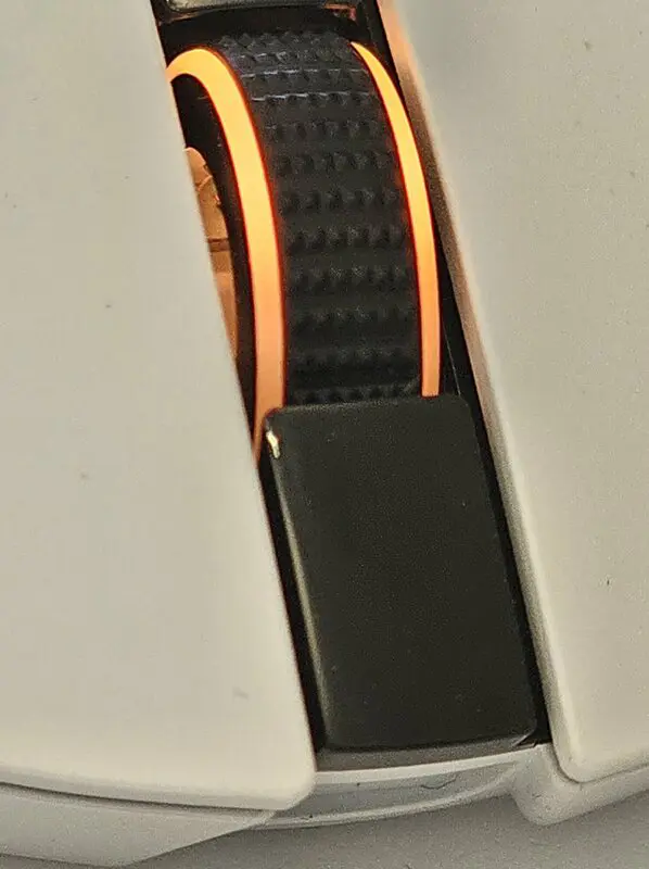 cobra2