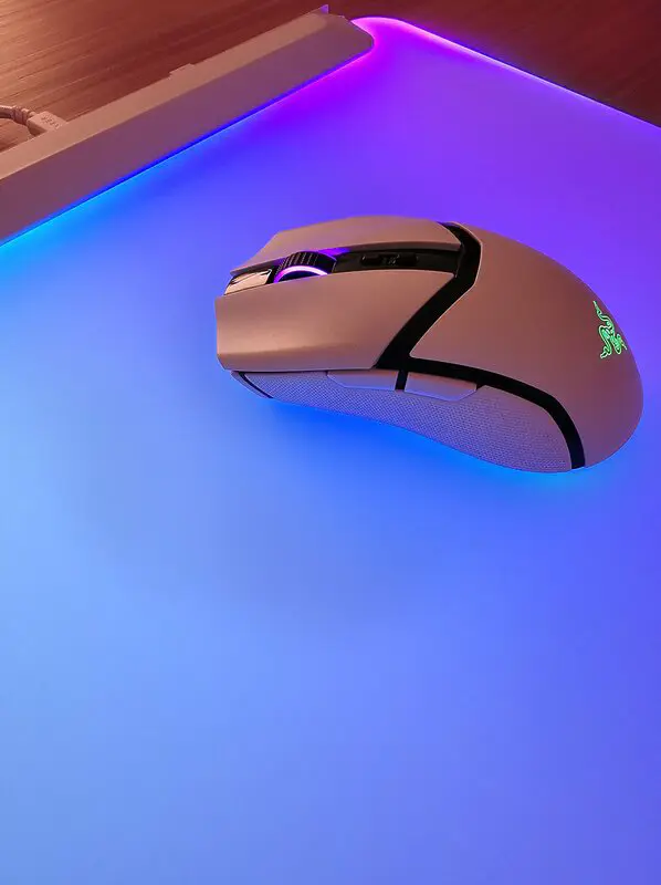 firefly1